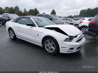 FORD FORD MUSTANG V6