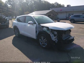 ACURA ACURA ADX