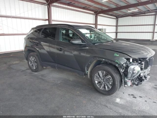 HYUNDAI HYUNDAI TUCSON HYBRID BLUE