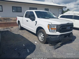 FORD FORD F-150 XL