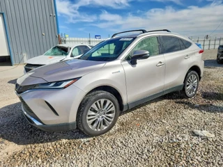 TOYOTA VENZA XLE