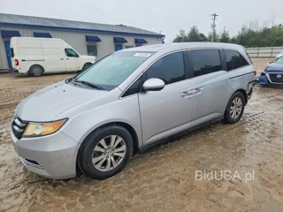 HONDA ODYSSEY EXL