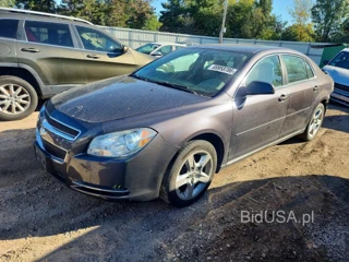 CHEVROLET MALIBU 1LT