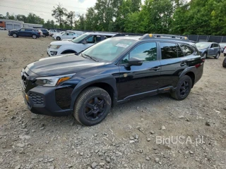 SUBARU OUTBACK WILDERNESS