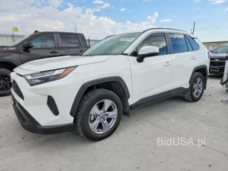 TOYOTA RAV4 HYBRID XLE
