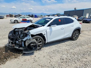 LEXUS UX 250H