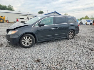 HONDA ODYSSEY EXL