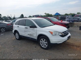 HONDA HONDA CR-V SE