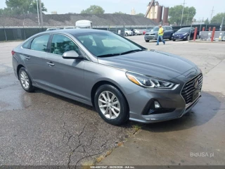 HYUNDAI HYUNDAI SONATA ECO