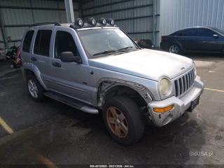 JEEP JEEP LIBERTY RENEGADE