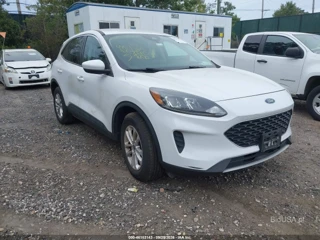 FORD FORD ESCAPE SE