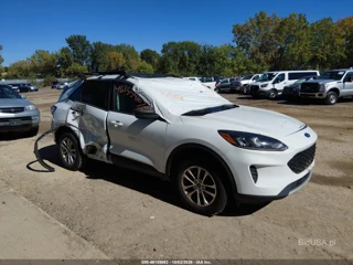 FORD FORD ESCAPE SE