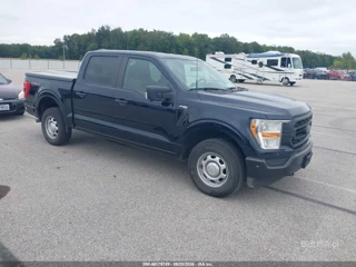 FORD FORD F-150 XL