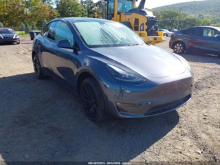 TESLA TESLA MODEL Y
