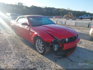 FORD FORD MUSTANG GT/GT PREMIUM