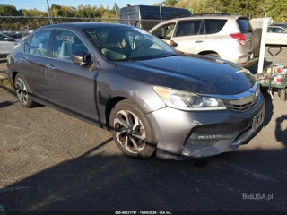 HONDA HONDA ACCORD EX