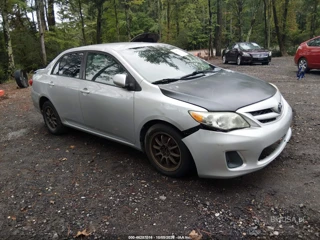 TOYOTA TOYOTA COROLLA LE