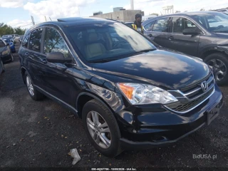 HONDA HONDA CR-V EX-L