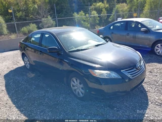 TOYOTA TOYOTA CAMRY HYBRID