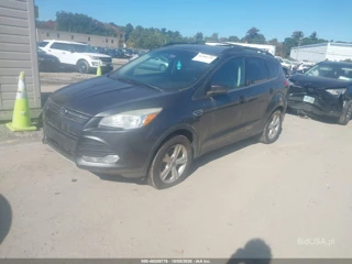 FORD FORD ESCAPE SE