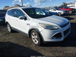 FORD FORD ESCAPE SE