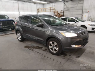 FORD FORD ESCAPE SE