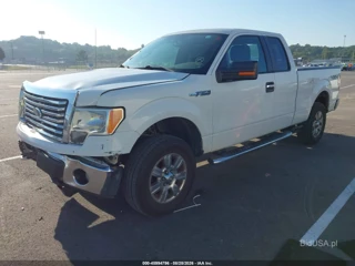FORD FORD F-150 XLT