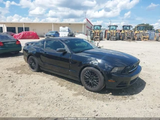 FORD FORD MUSTANG V6