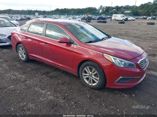 HYUNDAI HYUNDAI SONATA SE