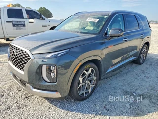 HYUNDAI PALISADE CALLIGRAPHY