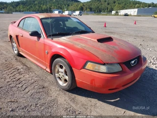 FORD FORD MUSTANG