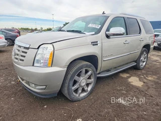 CADILLAC ESCALADE LUXURY