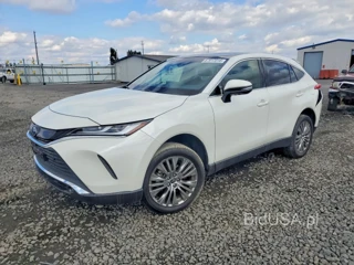 TOYOTA VENZA LIMITED