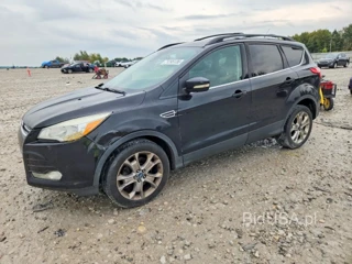 FORD ESCAPE SEL