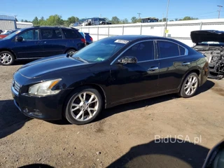 NISSAN MAXIMA 3.5 S