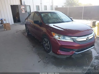 HONDA HONDA ACCORD LX
