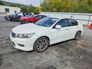 HONDA ACCORD SPORT