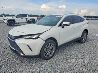 TOYOTA VENZA XLE
