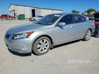 HONDA ACCORD EXL