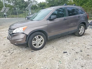 HONDA CR-V EX