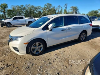HONDA ODYSSEY EXL