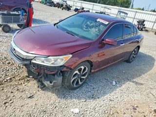 HONDA ACCORD EXL