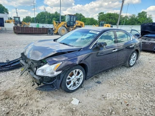 NISSAN MAXIMA 3.5 S