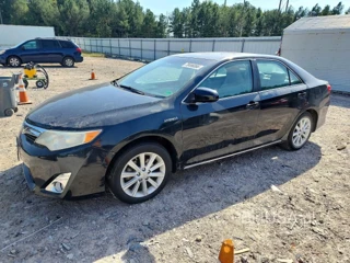 TOYOTA CAMRY HYBRID XLE