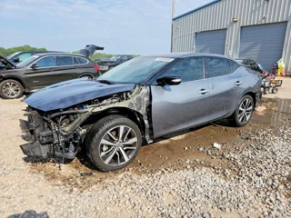 NISSAN MAXIMA SV