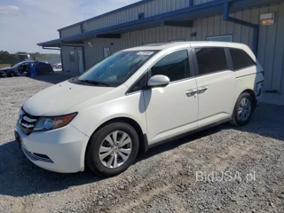 HONDA ODYSSEY EXL
