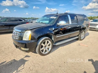 CADILLAC ESCALADE ESV LUXURY