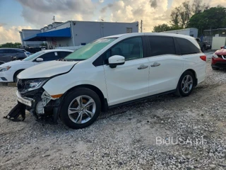 HONDA ODYSSEY EXL