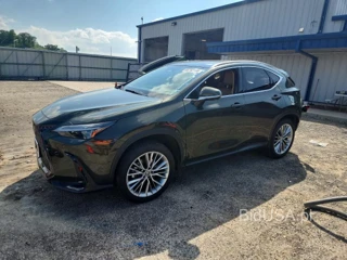 LEXUS NX 350H LUXURY