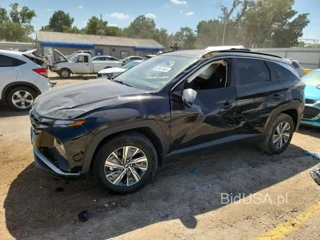 HYUNDAI TUCSON BLUE